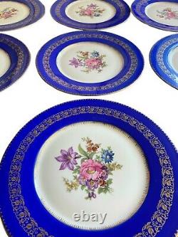 (12) Fabulous Czech Cobalt Blue Gold Trim Bouquet 11 Dinner Plates Ovington NY