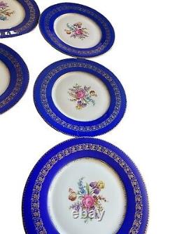 (12) Fabulous Czech Cobalt Blue Gold Trim Bouquet 11 Dinner Plates Ovington NY