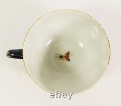= 18th C Worcester Polychrome Tea Cup, Cobalt Blue & Gold, Exotic Birds & Bugs