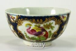 = Antique 18th c. Worcester Polychrome Tea Cup, Cobalt Blue & Gold, Exotic Bird
