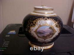 Antique Coalport Cobalt & Gold Scenic Tea Caddy Ginger Jar