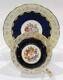 Aynsley Bailey Rose & Poppy Cup & Saucer Cobalt Blue Colorway With Gold Filigree