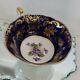 Paragon Bone China Teacup Cobalt Blue Gold Painted Chintz And Violets In Cup