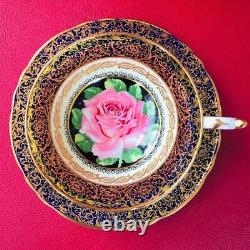 Paragon Gold Gilding Cobalt BlueTeacup & Saucer Floating Pink Cabbage Rose