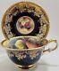 Paragon Golden Harvest Cobalt Berries And Pear Hand Painted Cup And Saucer