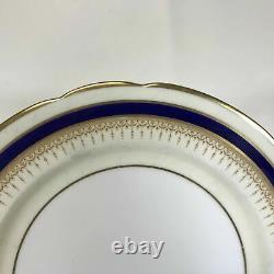Set of 8 Paragon Cobalt Blue & Gold Decorated Ivory Color Dinner Plates 10.5
