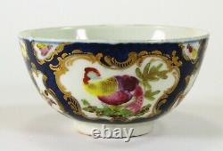 = Antique 18ème C. Worcester Polychrome Tea Cup, Bleu Cobalt & Or, Oiseau Exotique