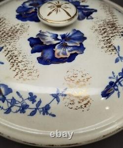 Antique Brown Westhead & Moore Co. Bwm England Blue & Gold Pot De Chambre Floral