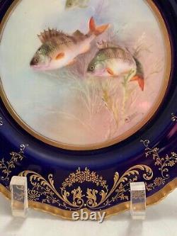 Assiette à poisson ROYAL DOULTON pour TIFFANY & CO Bleu Cobalt & Or 1901-1922 Signé
