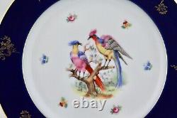 Ensemble de 5 assiettes de dîner en porcelaine de Bavière 'Bird Of Paradise' bleu cobalt avec dorure, comme neuves