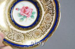 Paragon Bone Chine A515 Big Rose Rose Cobalt & Gold Scrollwork Tea Cup & Saucer