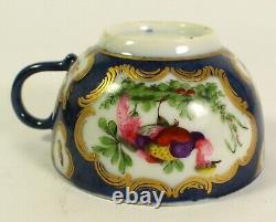 Tasse à thé polychrome de Worcester du XVIIIe siècle, bleu cobalt et or, oiseaux exotiques et insectes