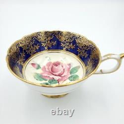 Vtg Paragon Tasse à thé et soucoupe, rose de chou bleu cobalt, dorure or, Angleterre dorée